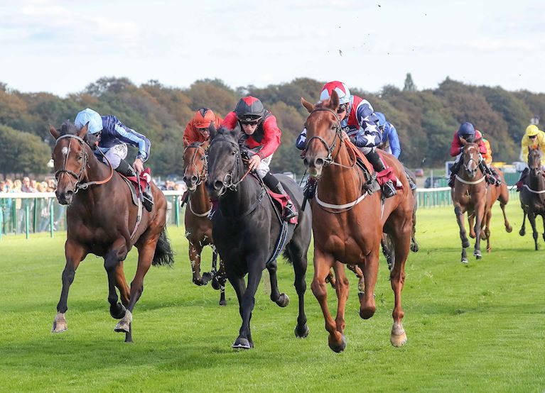 Flat Finale
