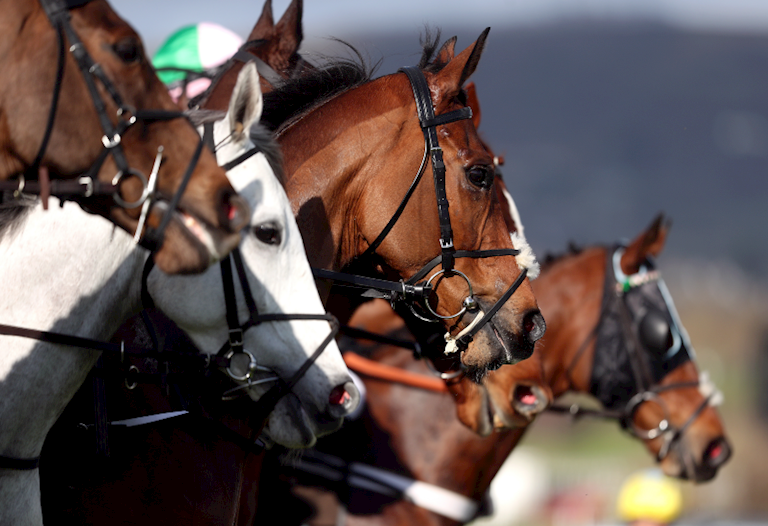 What happens to a racehorse during a race?