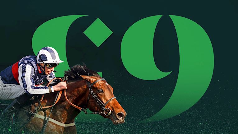 £9 Evening Racing