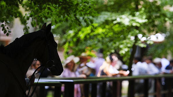 Pre Parade Ring LR.jpg