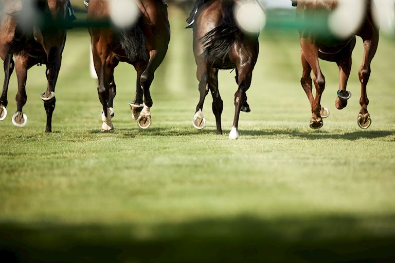 Ahead of the Pilot Raceday