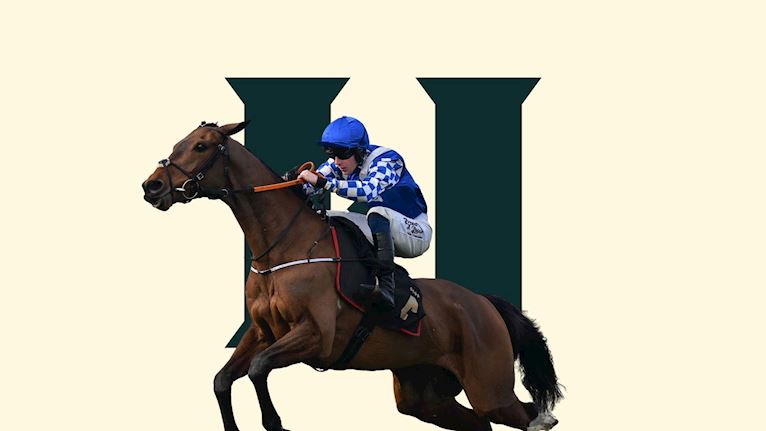 Afternoon Racing 