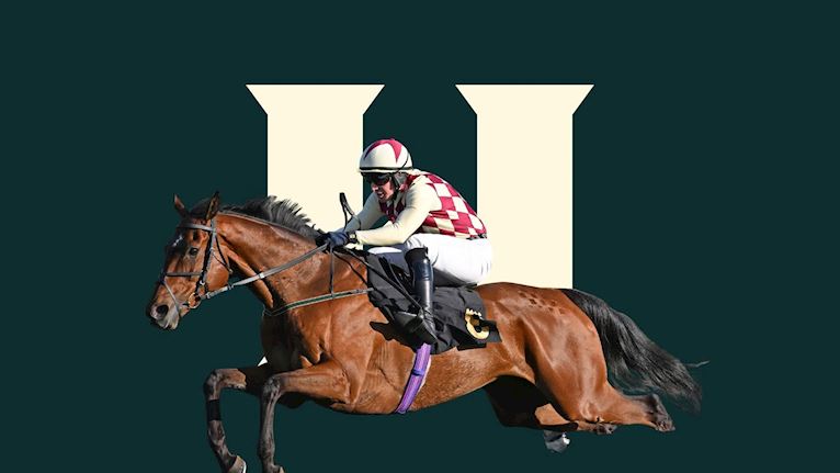 Irish Thoroughbred Marketing Raceday