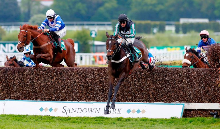 Altior jumping at Sandown Park