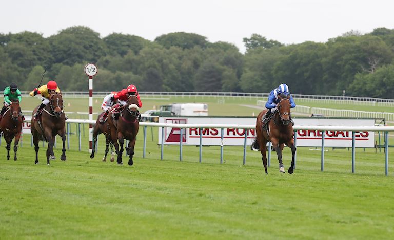 BATTAASH 106  Temple Stakes.JPG