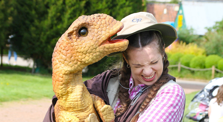Summer Saturday - Dinosaur Day