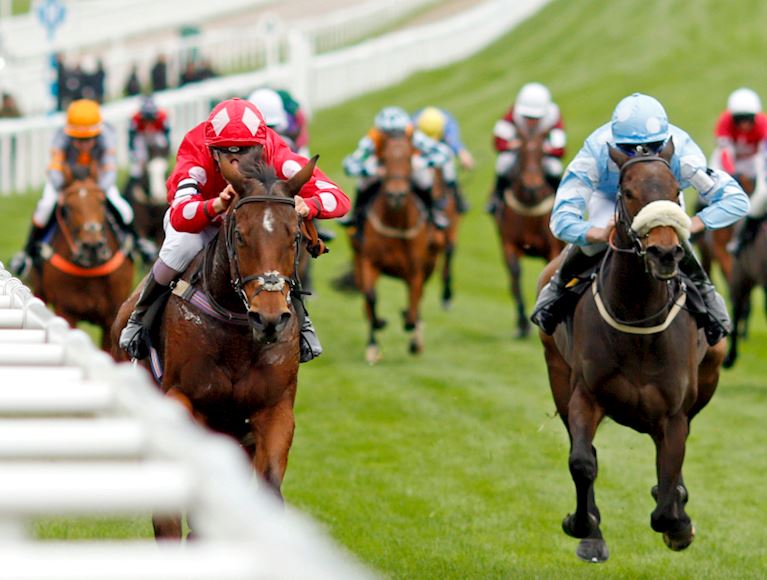 How fast are racehorses?