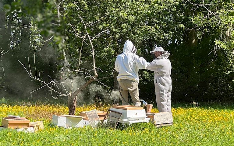 The Jockey Club Venues launches beekeeping project  to support biodiversity at Haydock Park
