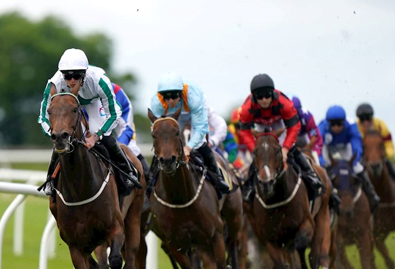 Afternoon Flat Racing