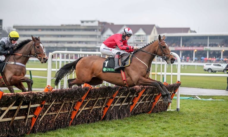 THE NEW ONE WINNING THE FOURTH UNIBET CHAMPION HURDLE TRIAL IN 2018.JPG