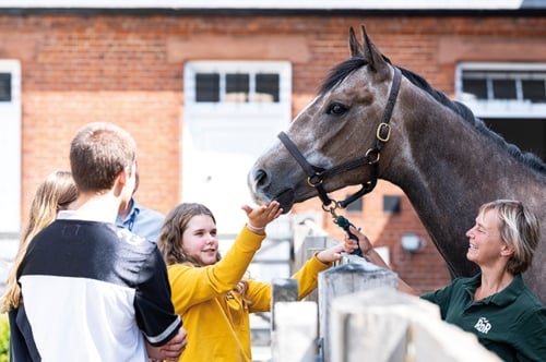 National Horse Racing Museum.jpg