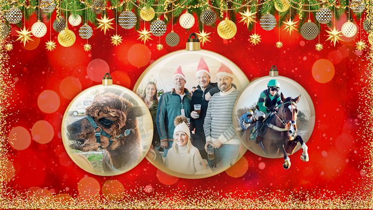 The Rand Farm Park Boxing Day Racing