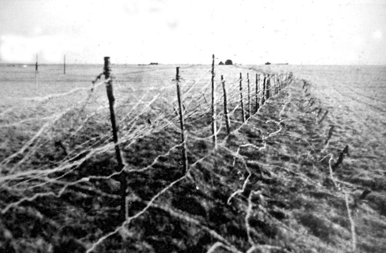 Rowley Mile Barb Wire.jpg