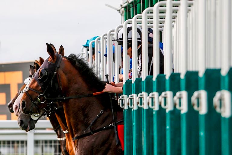 Sandown Racecourse Annual Membership