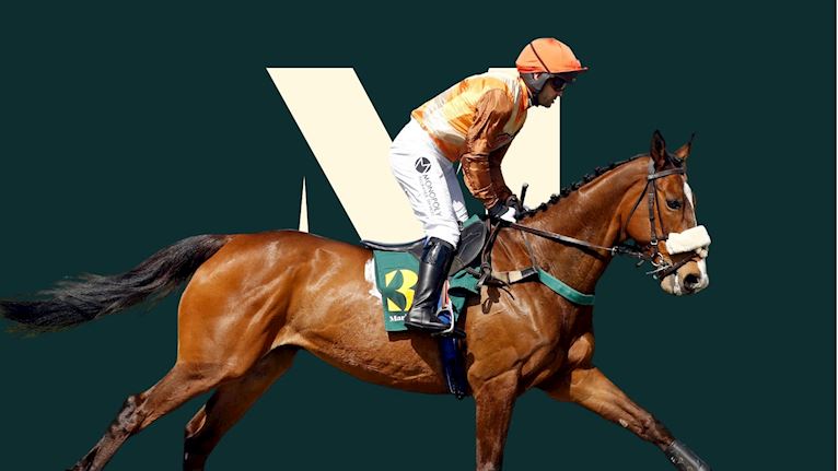 County Raceday