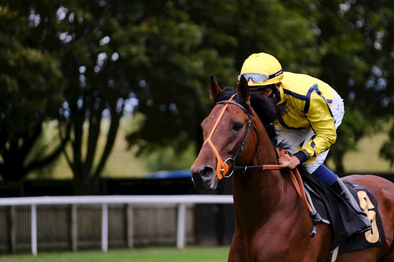 Ocean Downs Racing Schedule 2022 Summer Saturday 30Th July 2022 | Newmarket Racecourses