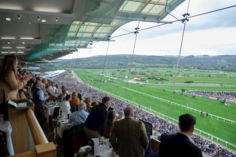 Hospitality at the Cheltenham Festival