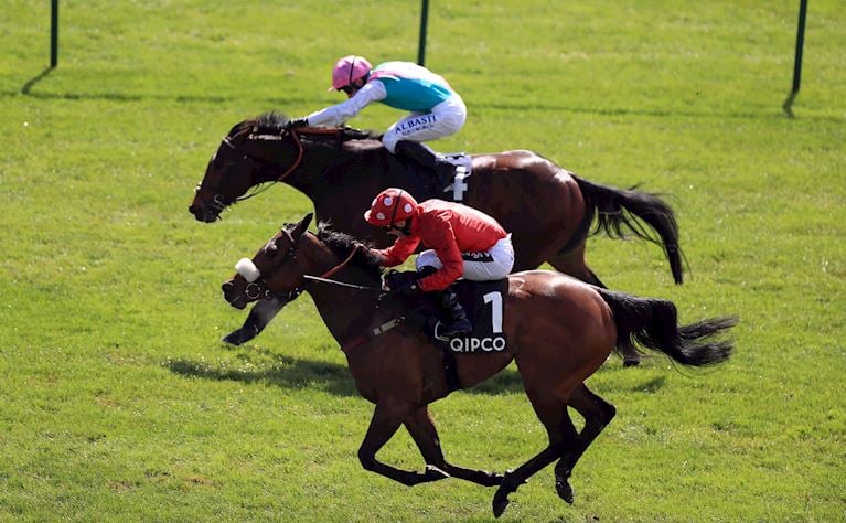 WIGAN’S David Armstrong predicts his star sprinter Mabs Cross can run another huge race in Friday’s 