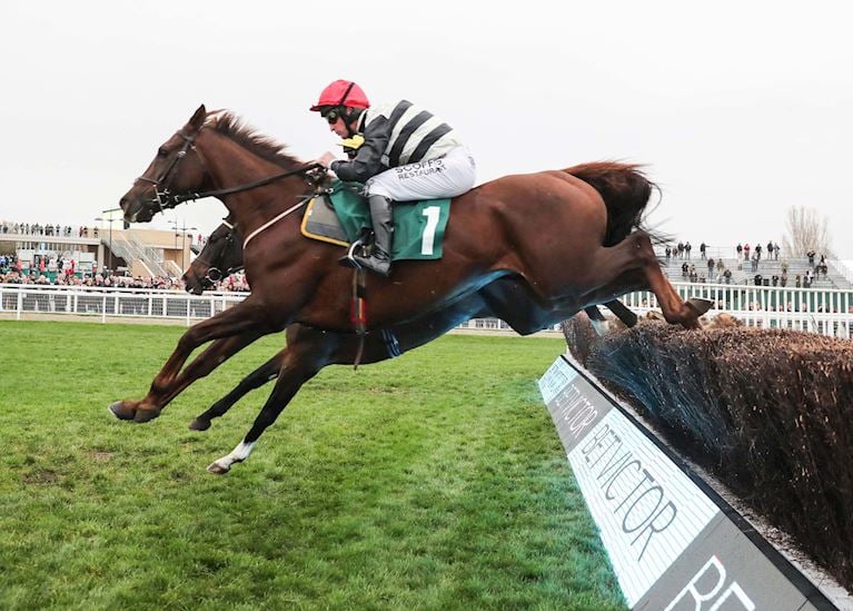 (2) Count Meribel and Mark Grant winning at Cheltenham in November 2018.JPG