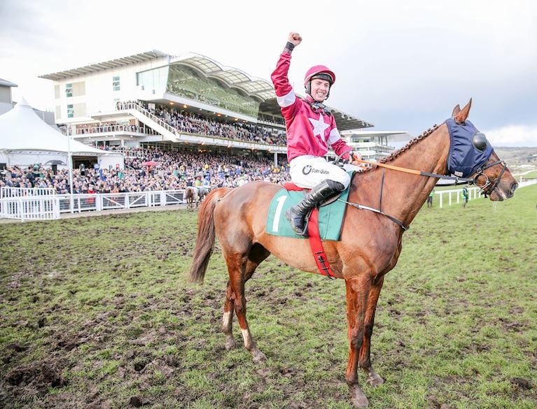 (3) Blow By Blow ridden by Donagh Meyler wins at Cheltenham in March 2018.JPG