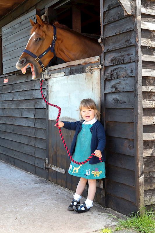 (1) Dianne Sayer's granddaughter Pip with Sayer's in-form horse Redarna at their Hackthorpe stables, near Penrith.JPG
