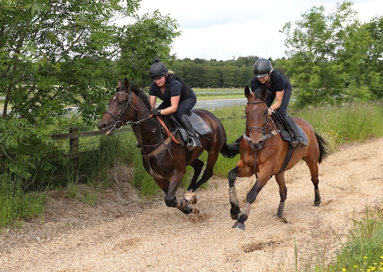 (2) Trainer Dianne Sayer watches her Carlisle runner work on her woodchip gallop at her stables in Hackthorpe , Penrith .JPG