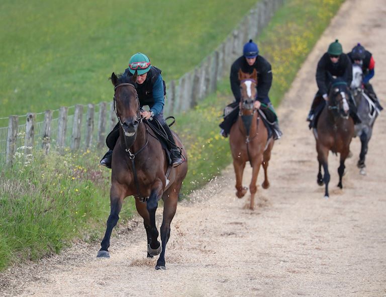 (5) Trainer Iain Jardine with his Carlisle runner SMUGGLERS CREEK.JPG