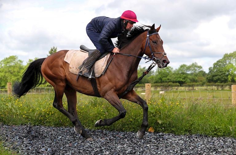 (6) Trainer Tristan Davidson and his Carlisle Bell runner CHINGACHGOOK .JPG