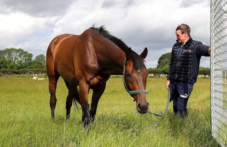 (7) Trainer Tristan Davidson with his Carlisle Bell runner CHINGACHGOOK at his stables.JPG