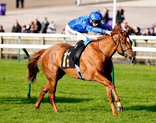 ROMANTIC STYLE CONTINUES UPWARD CURVE WITH LISTED BOSRA SHAM SUCCESS