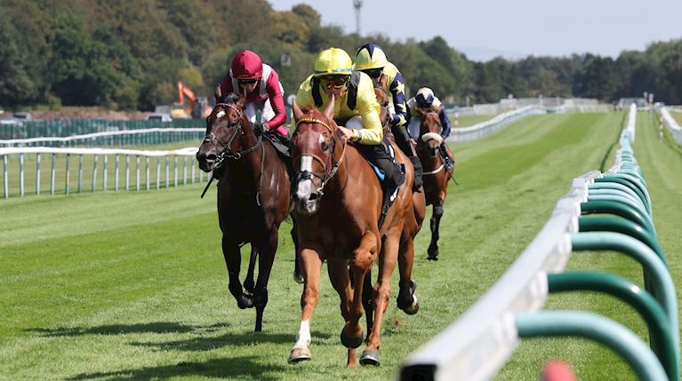 SALLAAL 106 Haydock.JPG