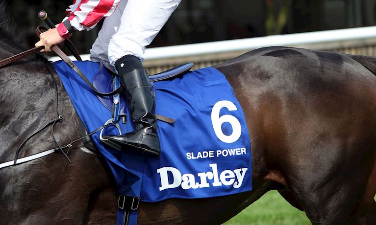7. SLADE POWER.jpg