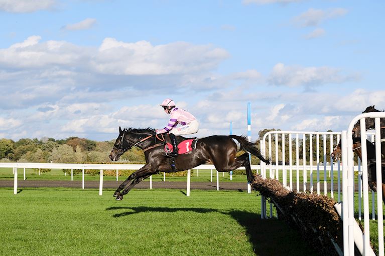 RUBAUD SETS UP CONSTITUTION HILL MEETING WITH SUCCESS IN LISTED FEATURE 