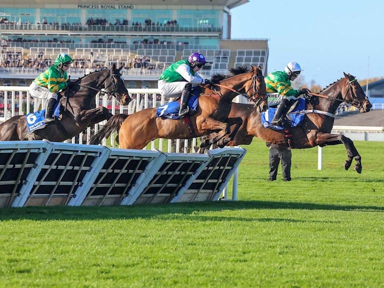 NZH201 IMPOSE TOI (1).jpg