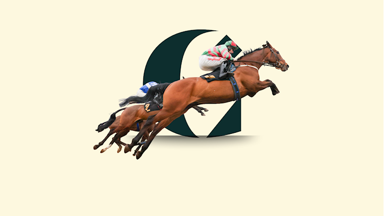 Go North Finals Raceday