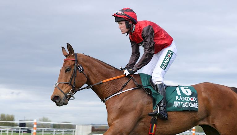David Maxwell Dispersal