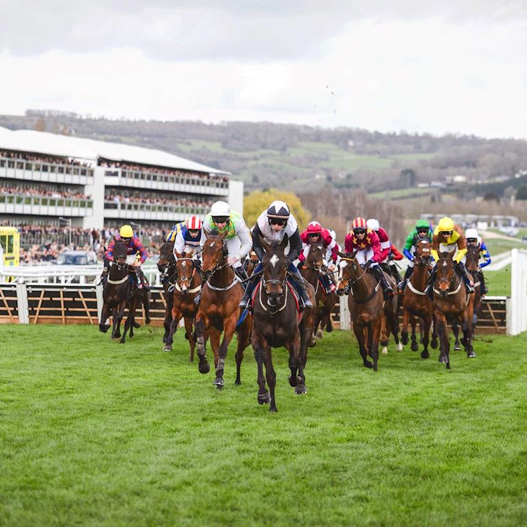 Cheltenham Raceday dual 1 1500.jpg