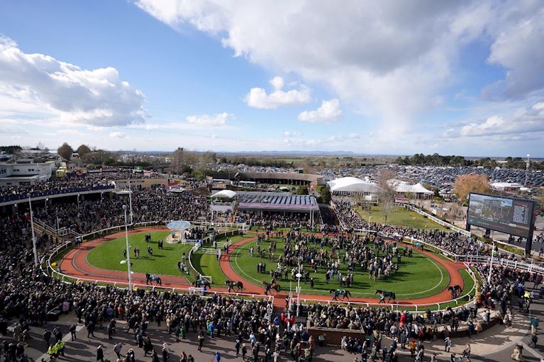 Parade Ring (1).jpg