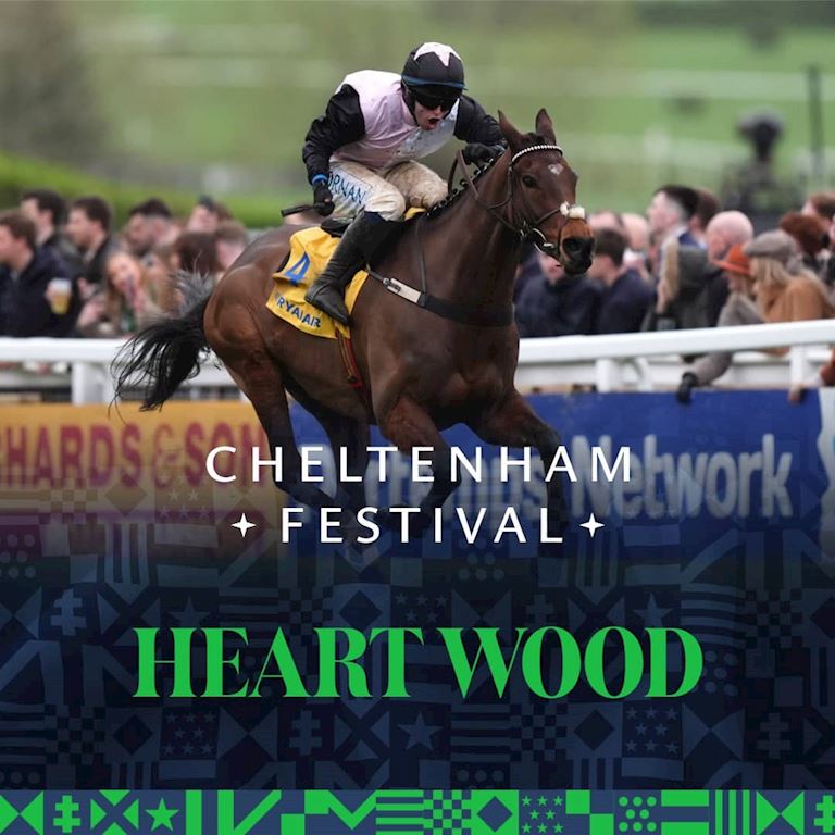 CFEC26 - Eccom Header V2 - Instagram (St Patricks Thursday) (2) (1).jpg