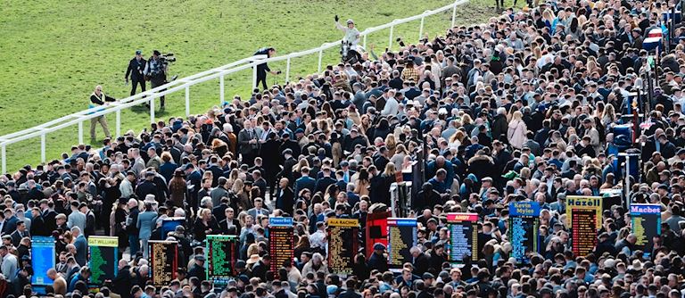 Eight Reasons To Visit The Festival