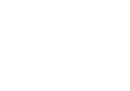 Brooklands_Wach_Company_Logo.png
