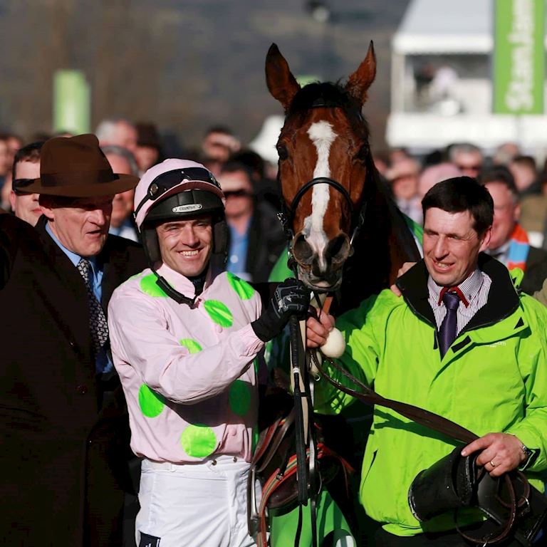 Faugheen (1).jpg