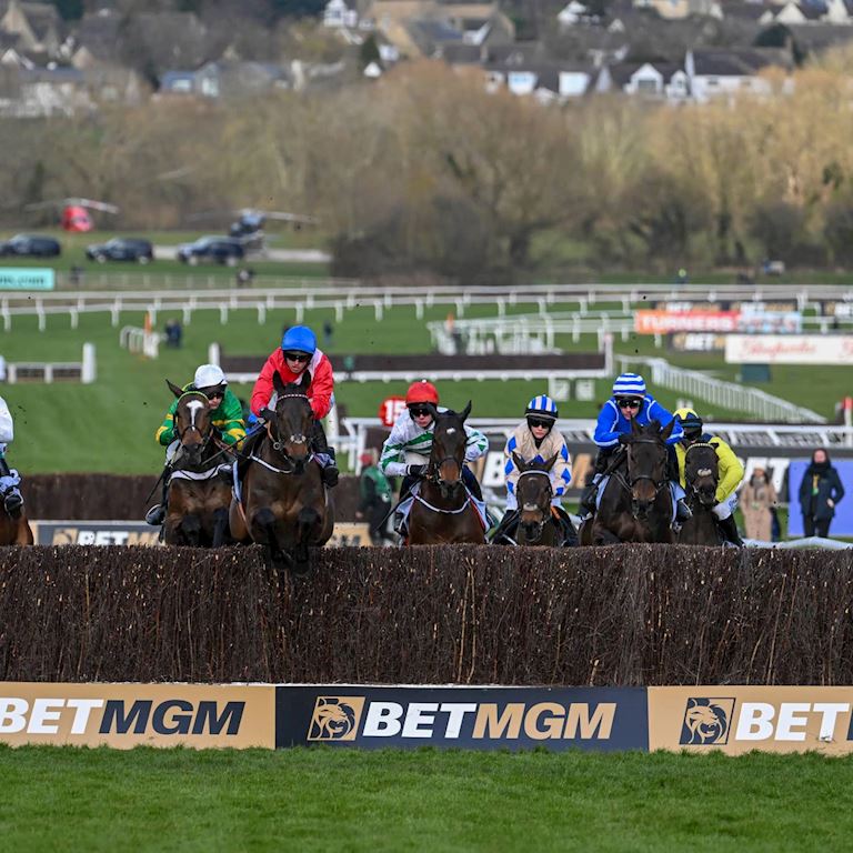 BetMGM _ Free bets_ Dual content (1).jpg