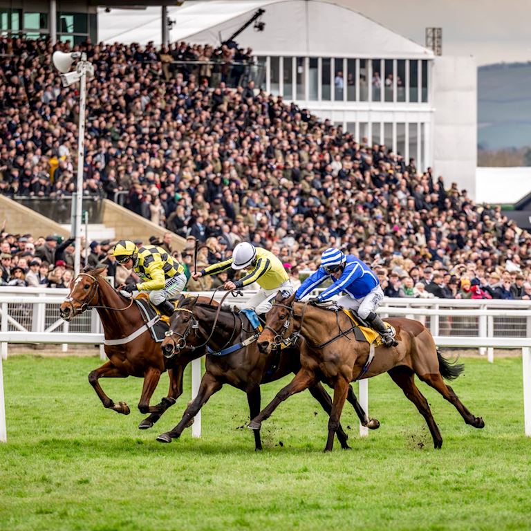 Visiting the Greatest Racecourse (1) (1).jpg