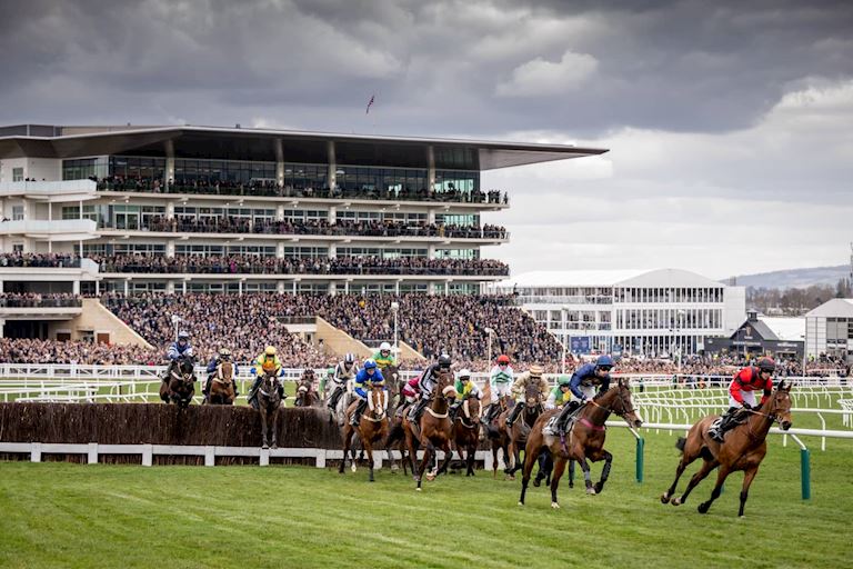 Cheltenham 2025 Tuesday-237 (1) (1).jpg