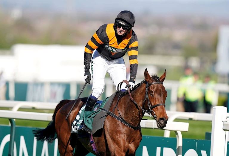 Past Grand National Winners