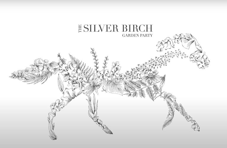 Silver Birch 2023