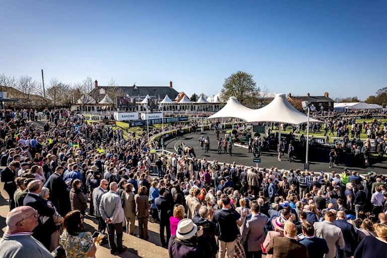 PARADE RING_Festival_Zone (1).jpg