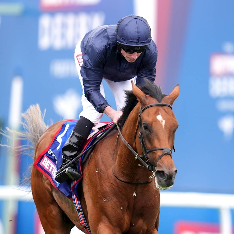 Derby winner 2024 dual content (1).jpg