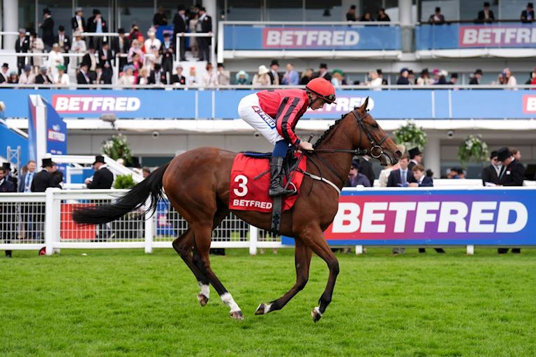 Stormy_Warren_DualContent (1).jpg